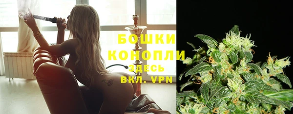 PSILOCYBIN Армянск