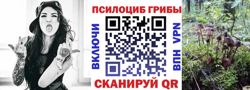 где купить наркоту  Белокуриха  Галлюциногенные грибы ЛСД 